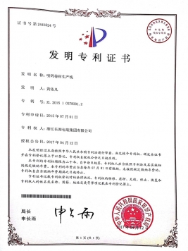发明专利